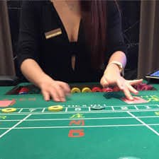 wnr55